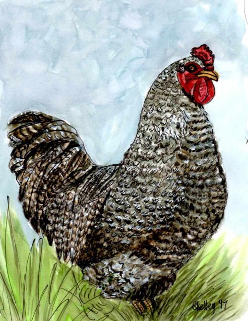 Chickens Are Not the Only Eggs Layers Chickens Are Not the Only Eggs Layers